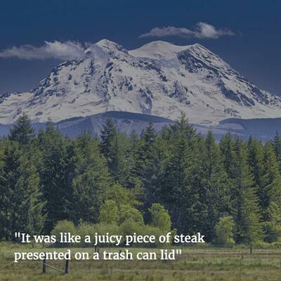 mt. rainer One-Star Yelp Reviews of National Parks