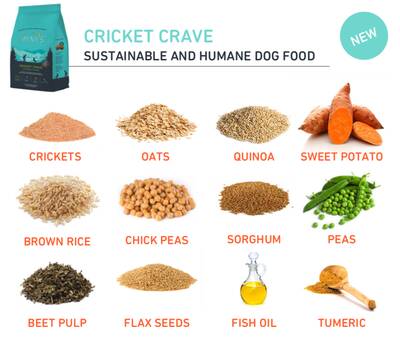 Jiminy’s sustainable Cricket Dog Food and treats cricket crave ingredients