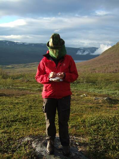 Mosquito Protection for Backpackers head net