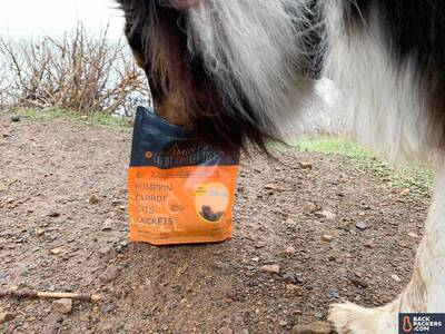 Jiminy's-Sustainable-Dog-Treats-getting-a-good-sniff