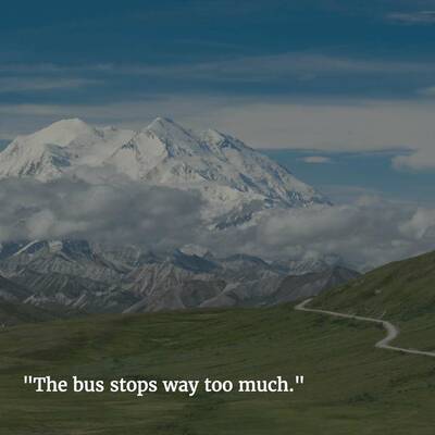 Denali National Park One-Star Yelp Reviews of National Parks