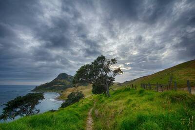 how to maintain a trail community highlight new zealand