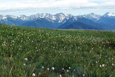 olypmic national park national parks free on veterans day