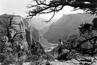 iew through trees (with visitors) down Zion Canyon from east side of Observation Point george grant