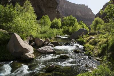 aravaipa canyon wilderness BLM creek