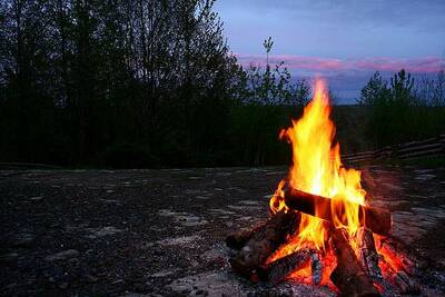 campfire tinder bundles birds nest wilderness academy