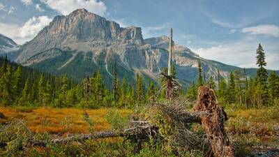 yoho national park parks canada free