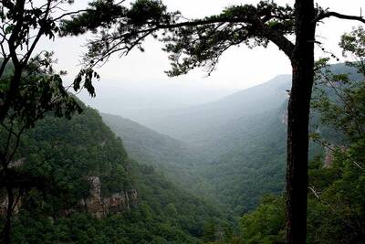 west rim loop in cloudland canyon fog