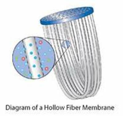 hollow fiber membrane sawyer difference between filtered and purified water