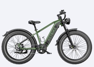 Brawn Electric Bike