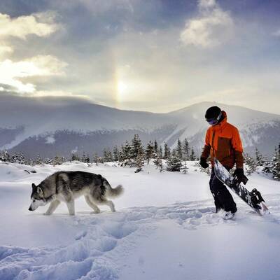 loki the wolfdog kelly lund snowboarding