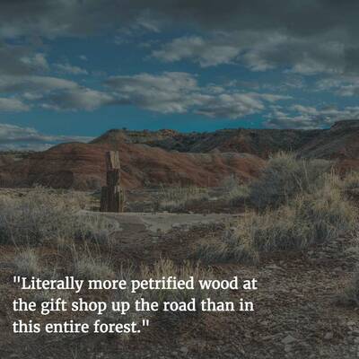 Petrified Forest National Park One-Star Yelp Reviews of National Parks