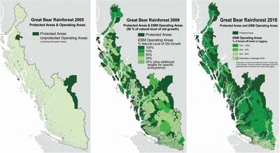great bear rainforest protected years of logging