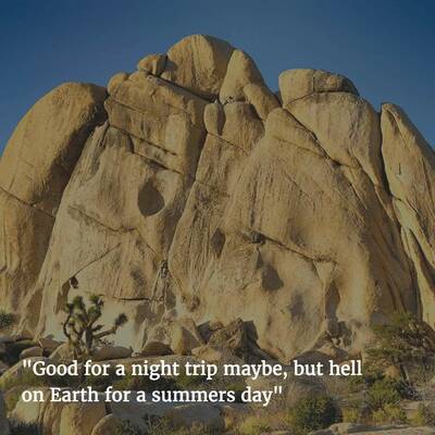 joshua-tree One-Star Yelp Reviews of National Parks