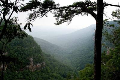 epic winter hikes west rim loop in cloudland canyon fog