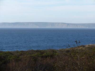 Point Reyes Forest to Sea Hike coast camp ocean view