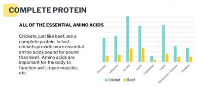Jiminy’s sustainable Cricket Dog Food and treats cricket protein profile