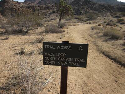 maze loop trailhead maze loop in joshua tree national park