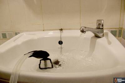 MSR-Guardian-purifier-sink