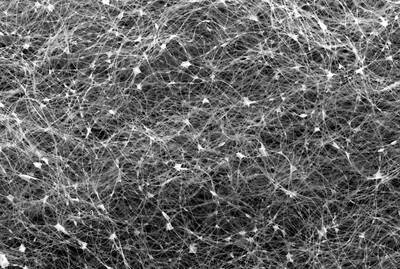 synthetic insulation
