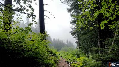 Kelty-Salida-2-review-nature-shot-2