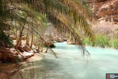 Havasupai Falls Hike in ArizonaPalm Tree Havasu