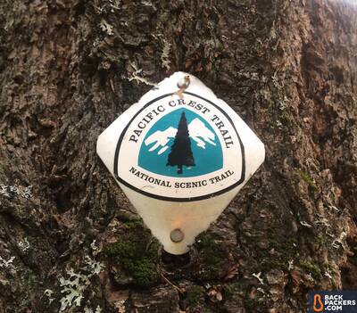 Section Hiking the Pacific Crest Trail Castle Crags to Etna Summit PCT blaze