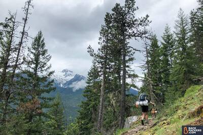 backpacking uphill with person in foreground trees and snowcapped mountain