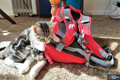 Camelbak-MULE-review-cat