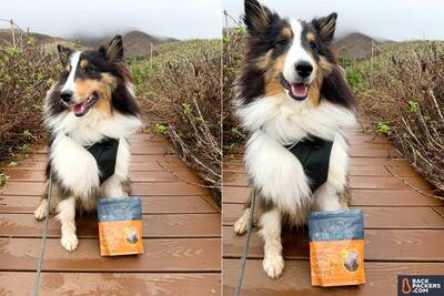 1-Jiminy's-Sustainable-Dog-Treats-on-trail-smiling-1