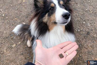 Jiminy's-Sustainable-Dog-Treats-pumpkin-and-carrot