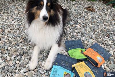 Jiminy's-Sustainable-Dog-Treats-treats-plus-dog