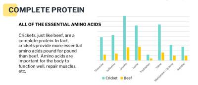 Jiminy’s sustainable Cricket Dog Food and treats cricket protein profile