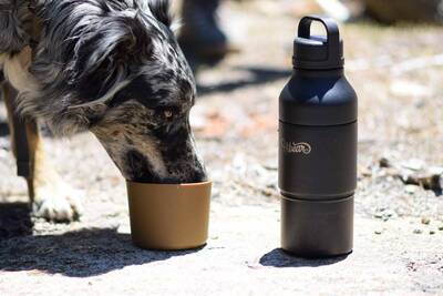 HiBear Design Co all-day adventure flask boot