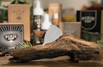 Pixie Cup on log