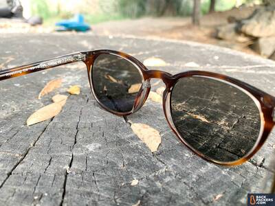Felix-Gray-Roebling-Review-on-stump-nose-pads