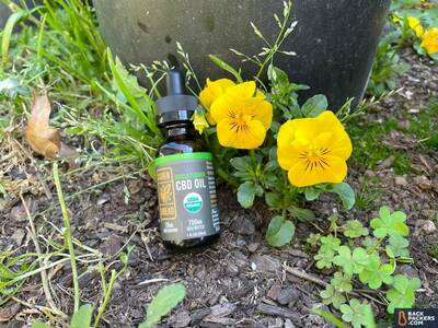Whole FLower CBD Oil