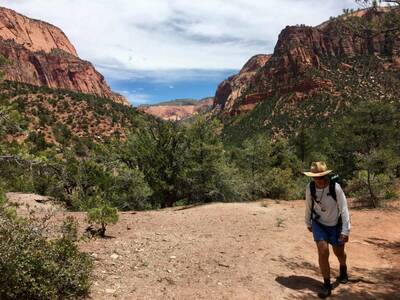 Wild Wanderer in Zion
