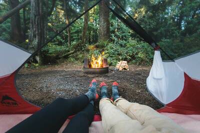 Wildly Goods Lightweight Merino Wool Crew Socks