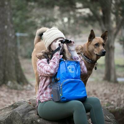 Road Tripping With Dogs
