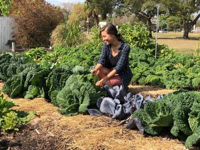 Merrell Gardening