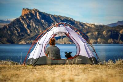 Camping with a Dog