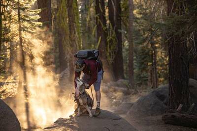 Hiking with a Dog