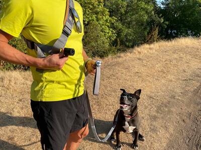 Dog Leash