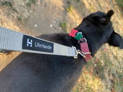 Lifehandle Dog Leash