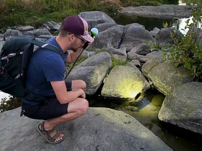 WayLight Spotting Fishes