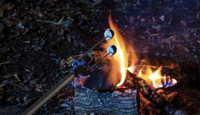 WayLight Skewer