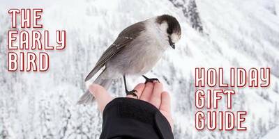 Early bird holiday gift guide