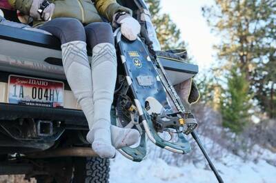 Fox Socks