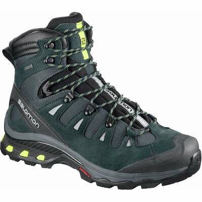 Salomon Quest 4D GTX 3 best hiking boots